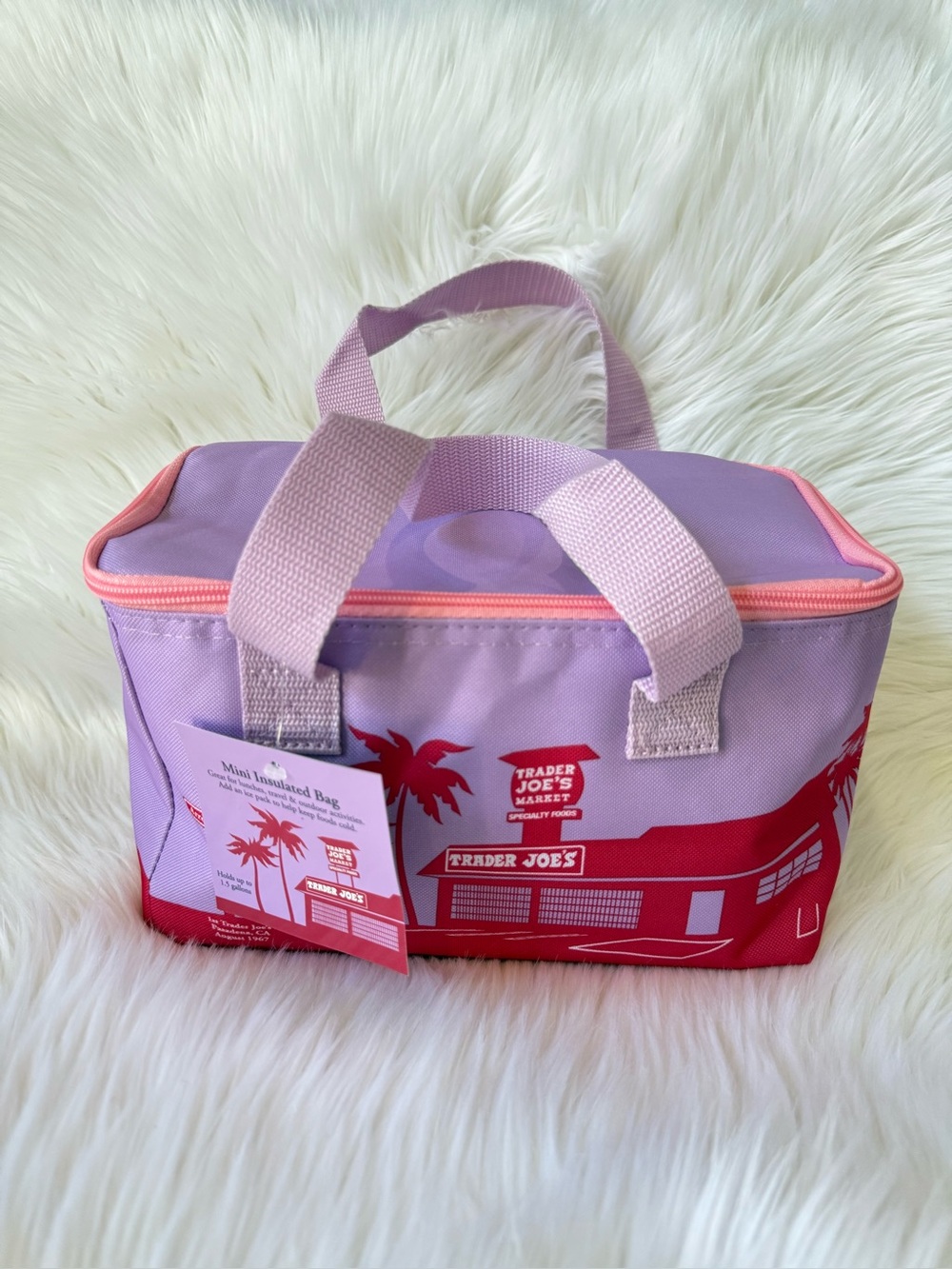 Trader Joe's Mini Insulated Lunch Bag